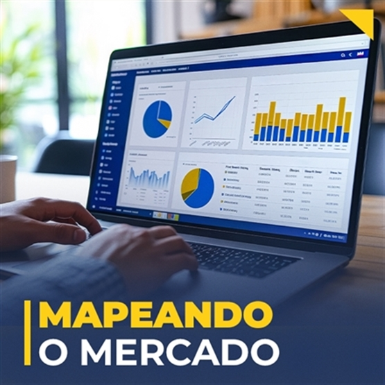 MAPEANDO O MERCADO